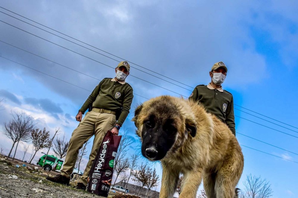 Konya polisi doğa ve hayvanlara karşı işlenen suçlara karşı teyakkuzda