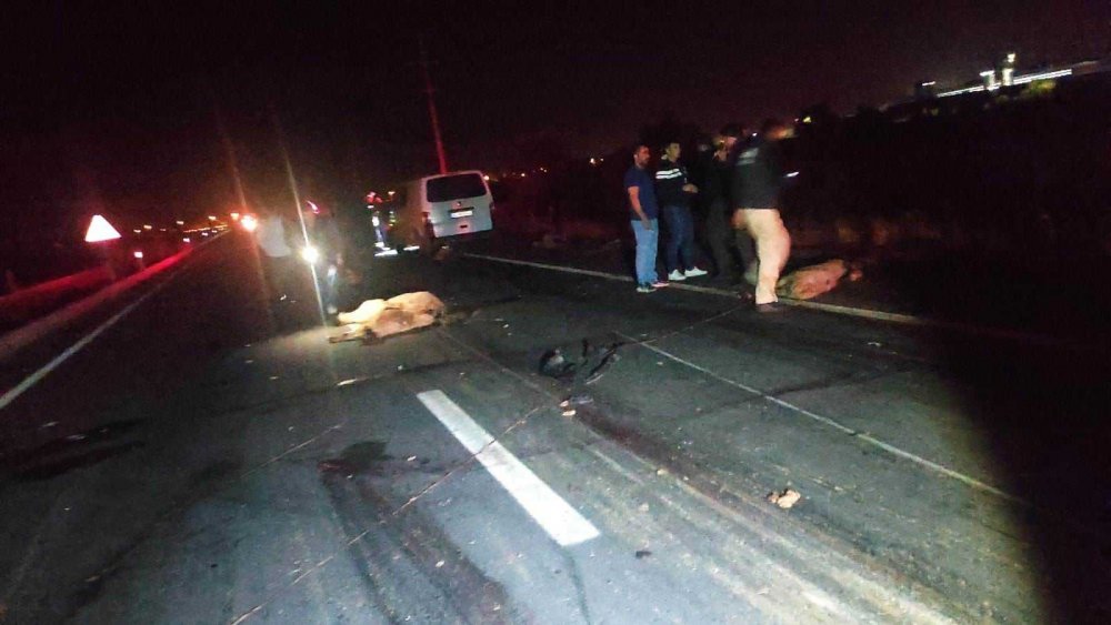 Konya'da akşam saatlerinde yaşanan kazanın detayları ortaya çıktı! 7 kişi yaralı 34 koyun telef