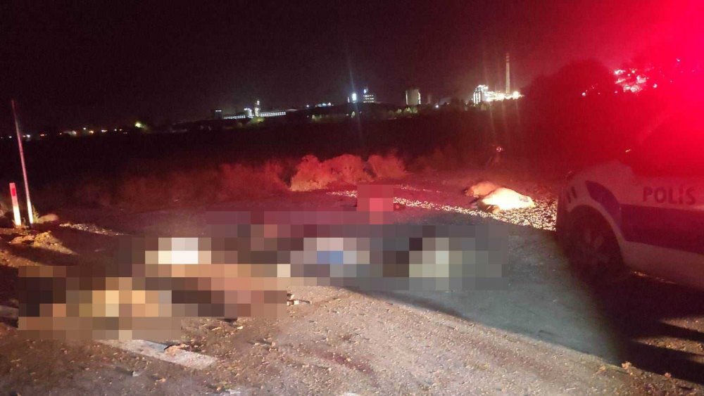 Konya'da akşam saatlerinde yaşanan kazanın detayları ortaya çıktı! 7 kişi yaralı 34 koyun telef
