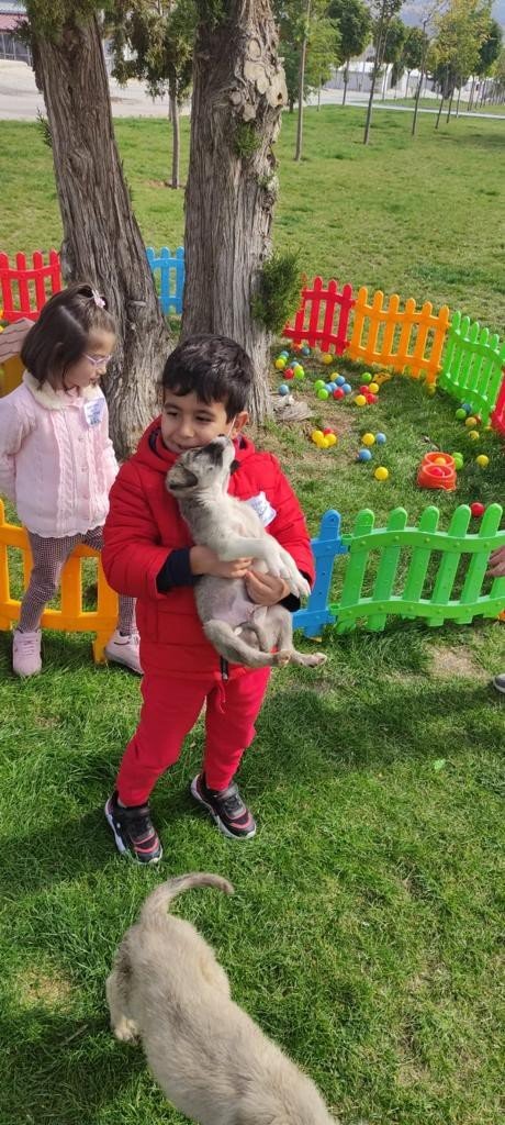 Hayvan dostu Konya'da öğrenciler Hayvan Barınağını ziyaret etti