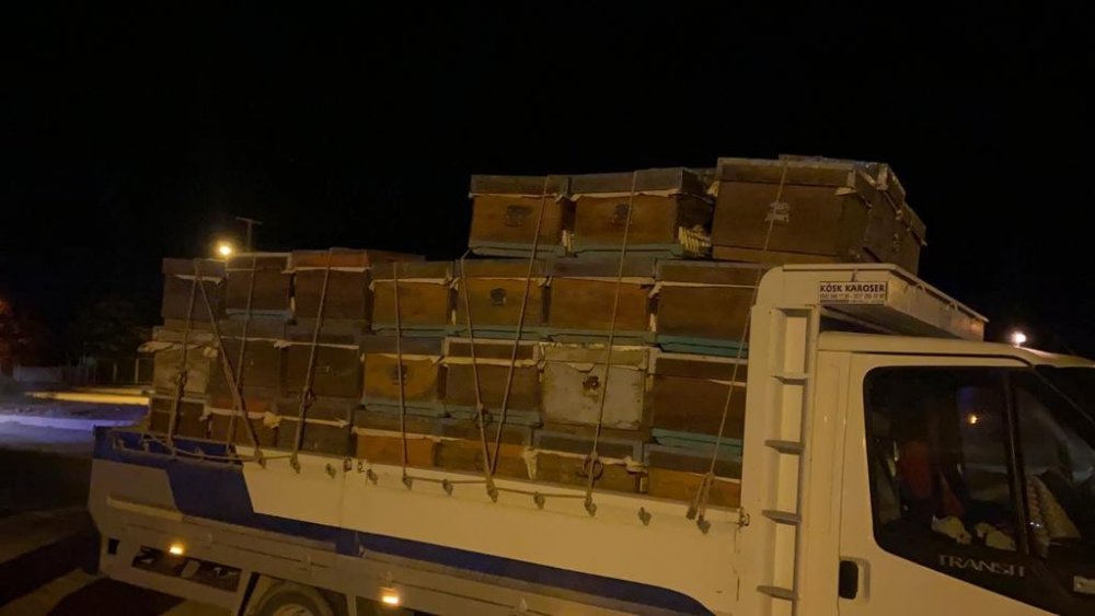 Afyon'da otomobil arı kovanı yüklü kamyonetle çarpıştı! Kazada 2 kişi yaralandı