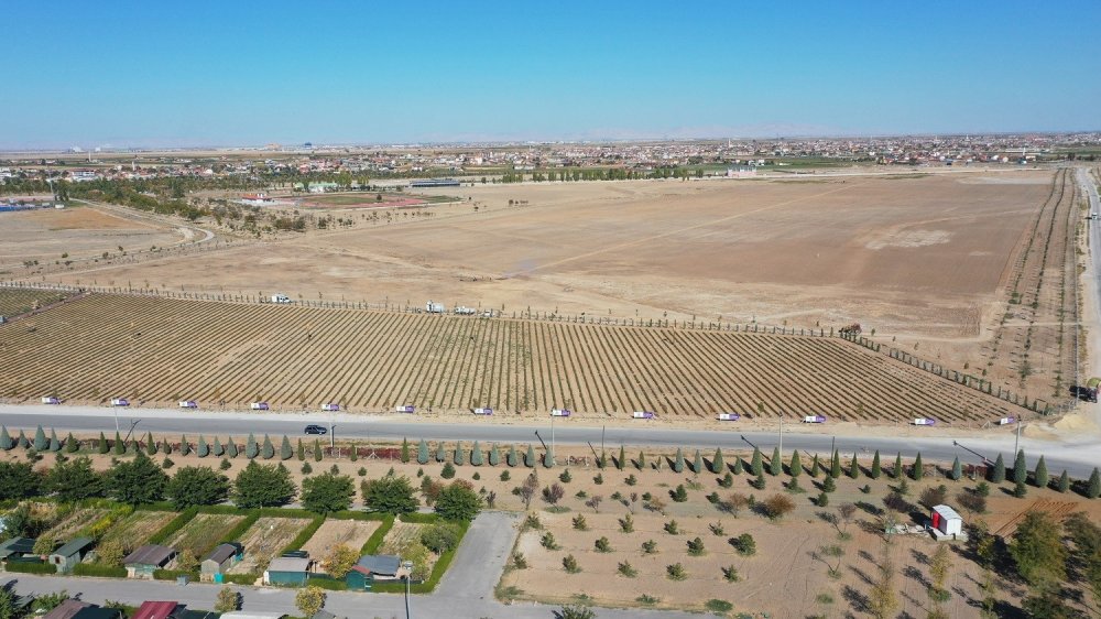 Karatay Belediyesi lavanta bahçesi 340 bin metrekareye çıkarılıyor