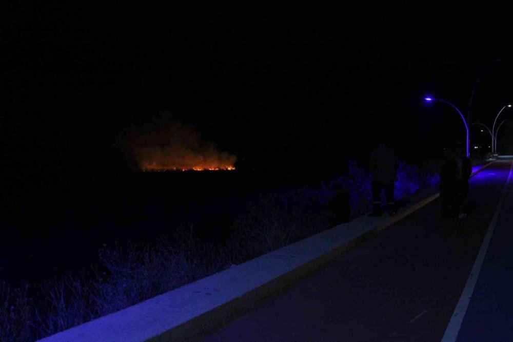 Konya'da yüzlerce su kuşunun yaşam alanı Beyşehir Gölü Milli Parkı’nda yangın!