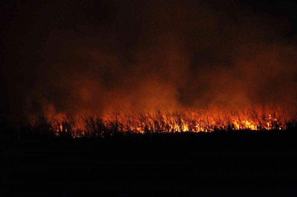 Konya'da yüzlerce su kuşunun yaşam alanı Beyşehir Gölü Milli Parkı’nda yangın!