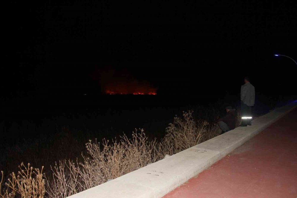 Konya'da yüzlerce su kuşunun yaşam alanı Beyşehir Gölü Milli Parkı’nda yangın!