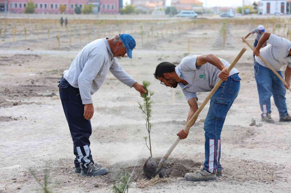 Meram Belediyesi’nden doğan her bebeğe bir fidan