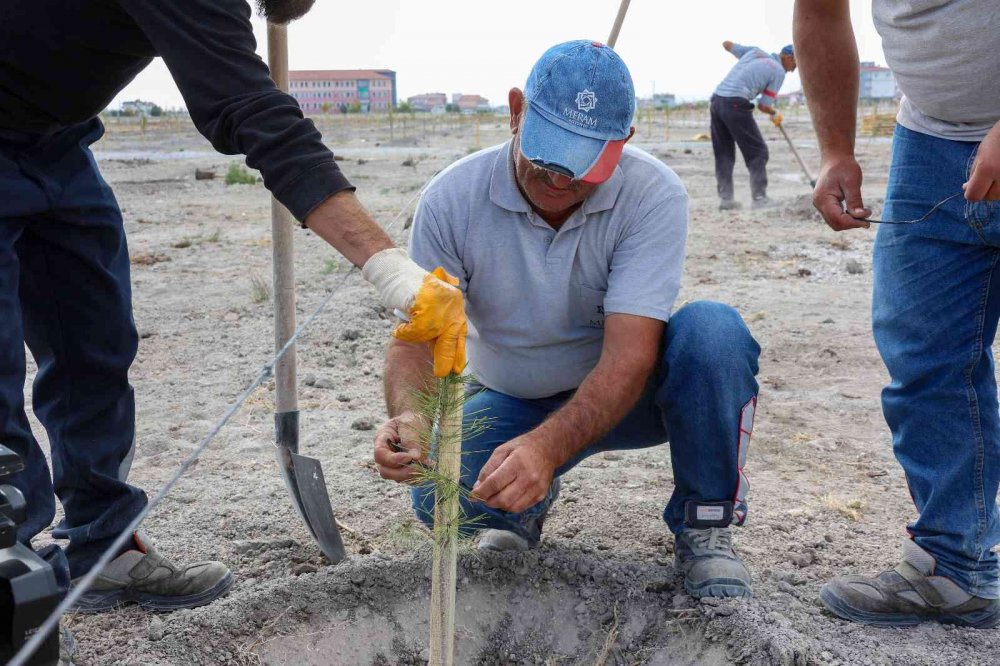 Meram Belediyesi’nden doğan her bebeğe bir fidan