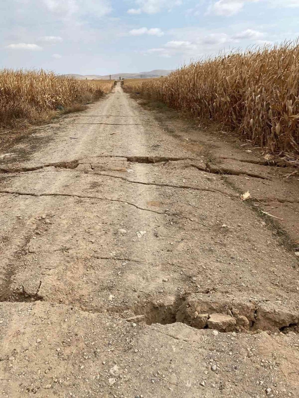 Konya'dan sonra Karaman'da da görüldü! AFAD trafiğe kapattı