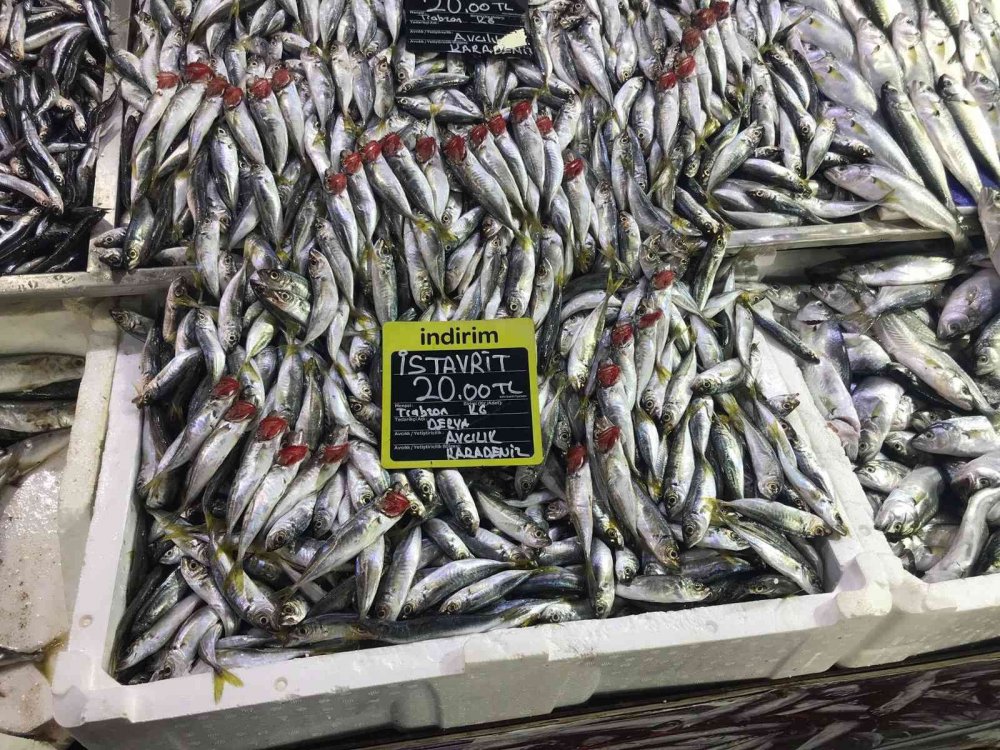 Et ve tavuk fiyatı fırlayınca balığa rağbet arttı!