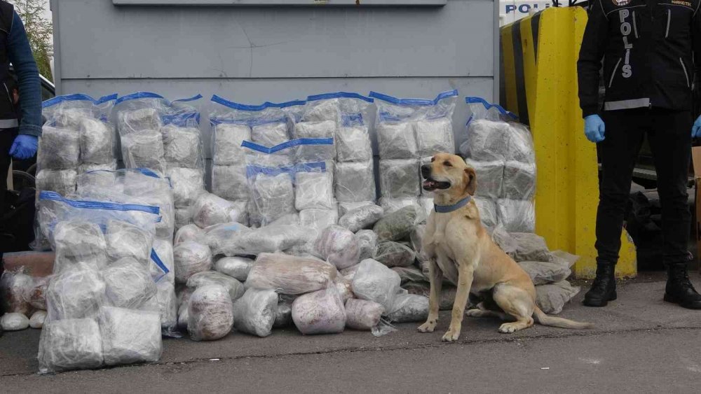 Nakliye süsüyle uyuşturucu ticareti narkotiğe takıldı! 100 kilo 1 kamyonetten çıktı