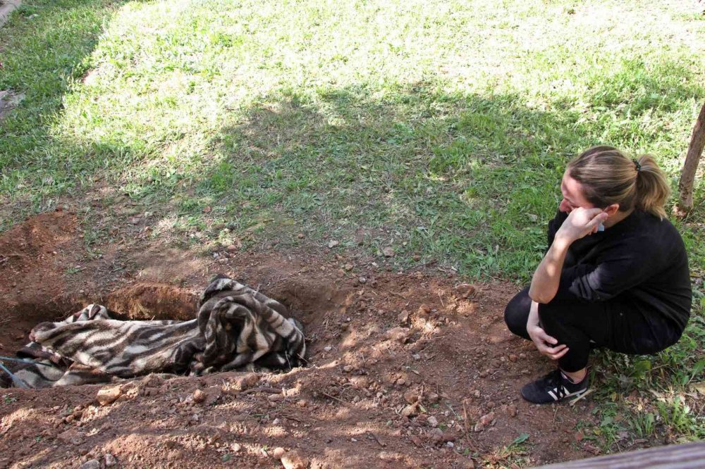 'Ceset gömüyor' ihbarı ortalığı karıştırdı! Köpeğini çöp kamyonunda görünce çılgına döndü