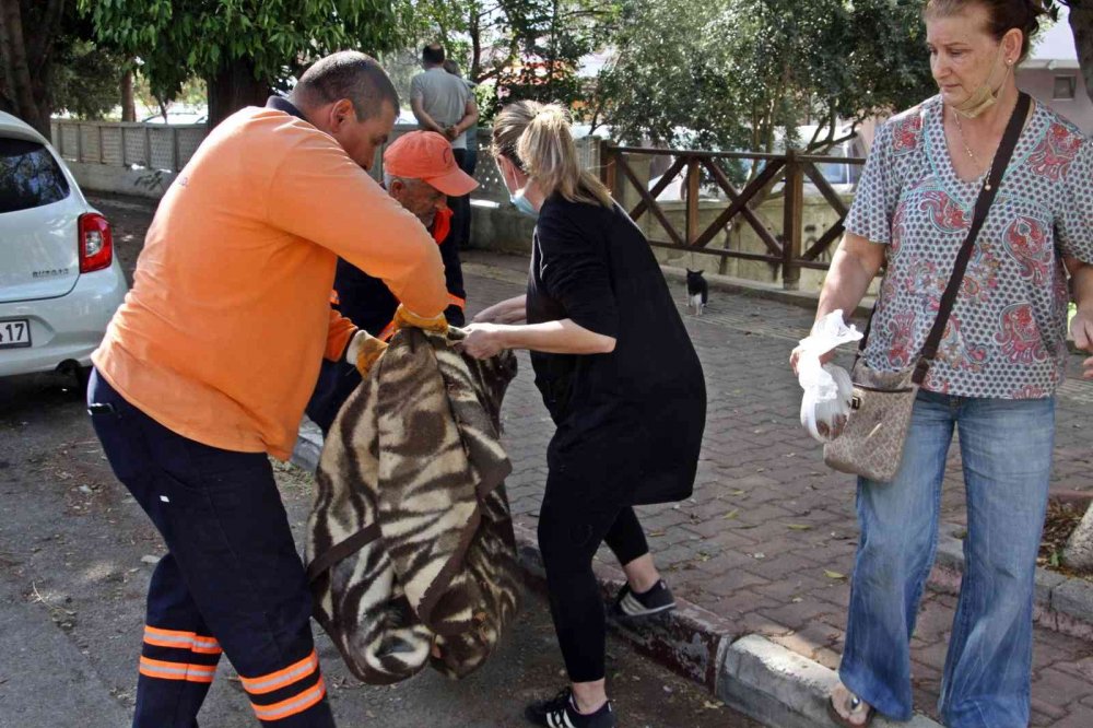 'Ceset gömüyor' ihbarı ortalığı karıştırdı! Köpeğini çöp kamyonunda görünce çılgına döndü