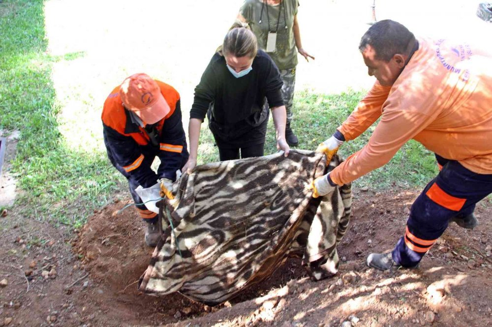 'Ceset gömüyor' ihbarı ortalığı karıştırdı! Köpeğini çöp kamyonunda görünce çılgına döndü