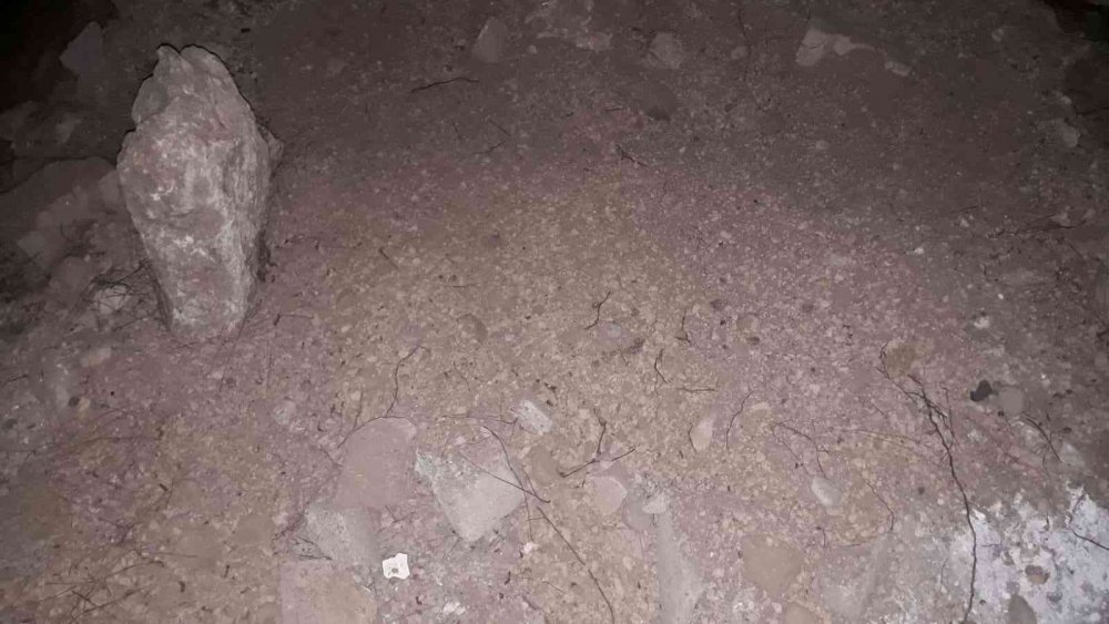 'Ceset gömüyor' ihbarı ortalığı karıştırdı! Köpeğini çöp kamyonunda görünce çılgına döndü