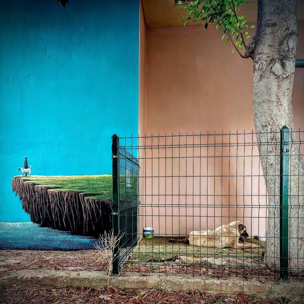 'Ceset gömüyor' ihbarı ortalığı karıştırdı! Köpeğini çöp kamyonunda görünce çılgına döndü