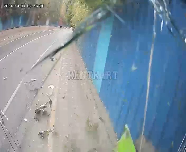 ttttttttttttt.jpg