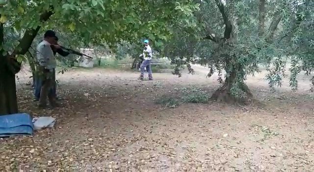 Zeytin toplayan aileye zehirli engerek yılanı saldırdı