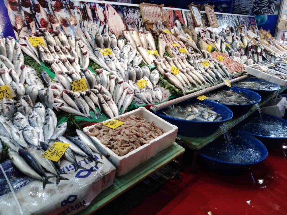 Palamut az olunca hamsi bollaştı