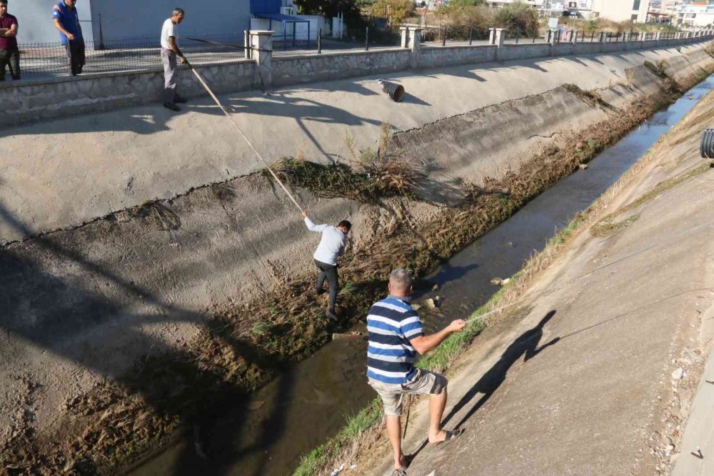Antalya'da görülmedik kaza! Otobüsle çarpışıp kanala uçan aracın ruhsatı için seferber oldular