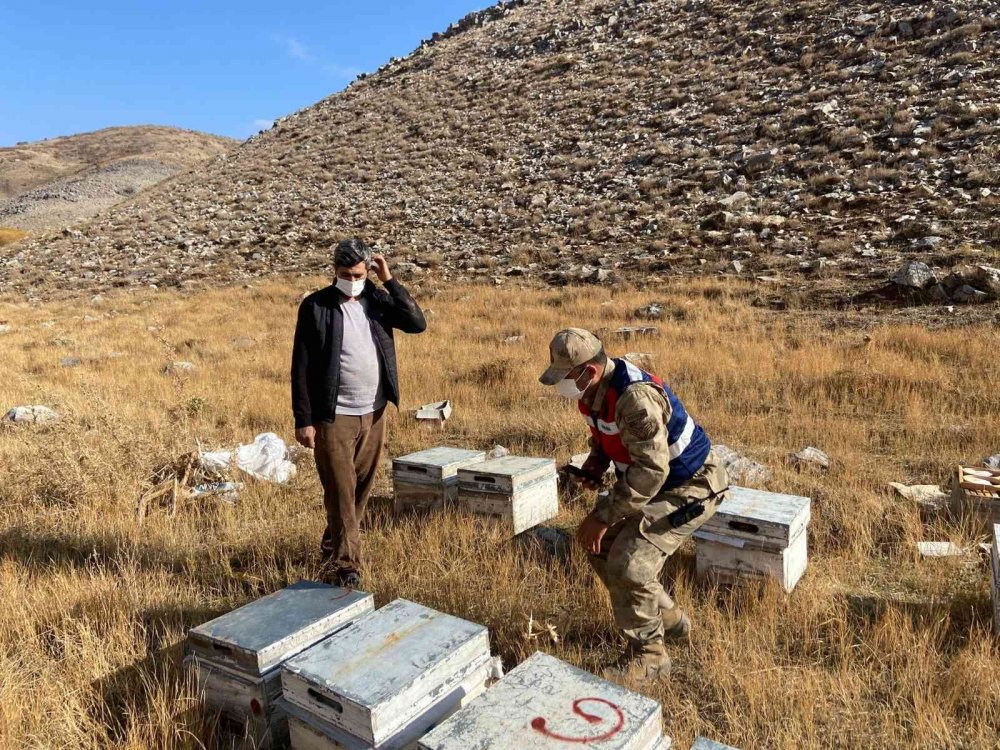 Köylünün küçükbaş hayvan ve arı kovanlarını çalan hırsızlar yakalandı