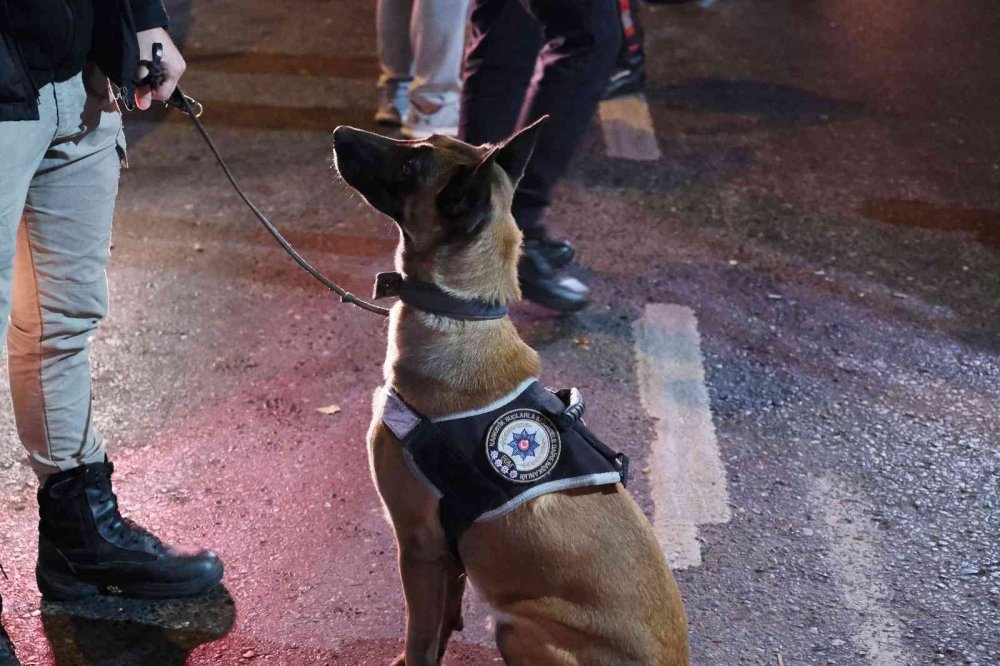 İstanbul polisinden 'Huzur’ uygulaması! Kuş uçurtulmadı