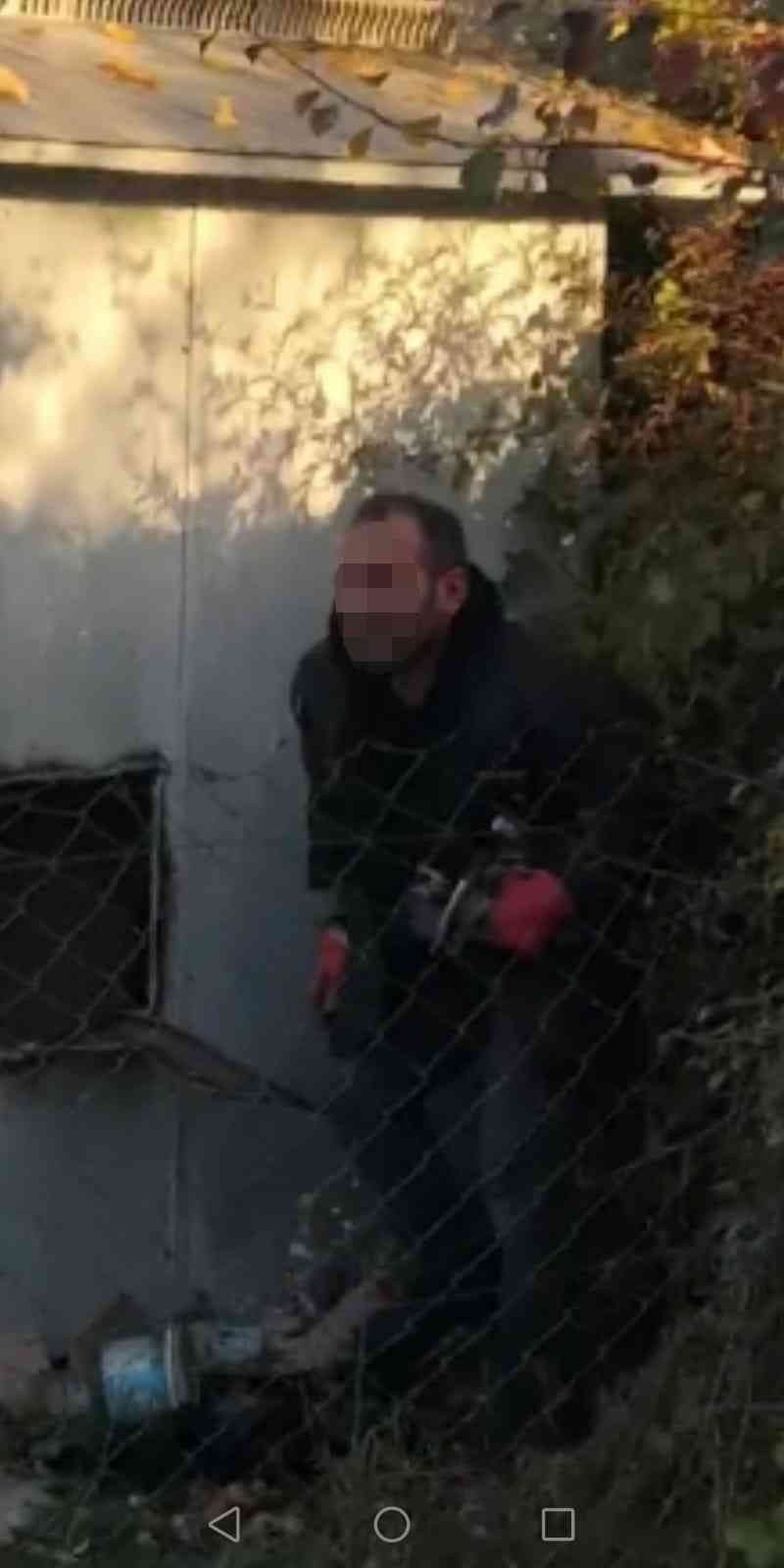 Vicdansız hırsız! Ateşe verdiği 50 cins güvercin telef oldu