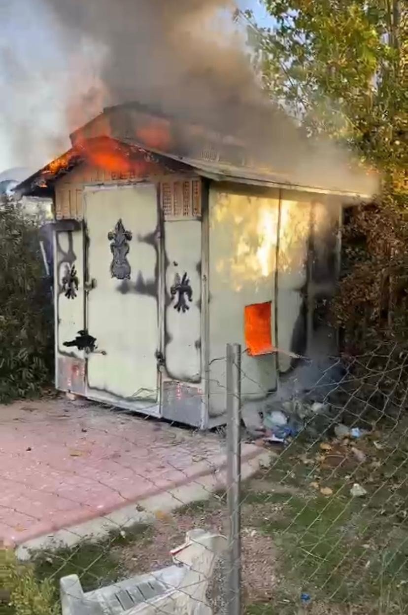 Vicdansız hırsız! Ateşe verdiği 50 cins güvercin telef oldu