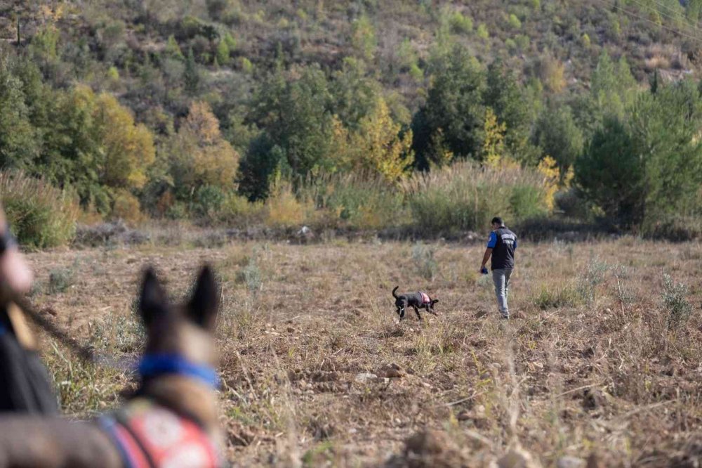 Neredesin Müslüme?