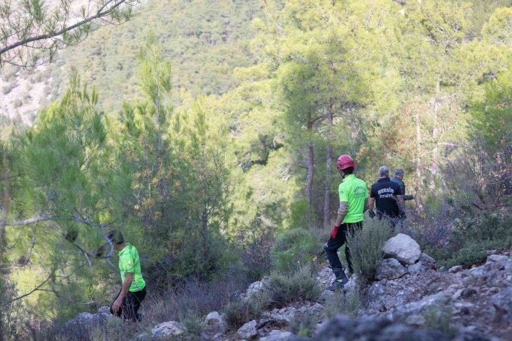 Neredesin Müslüme?
