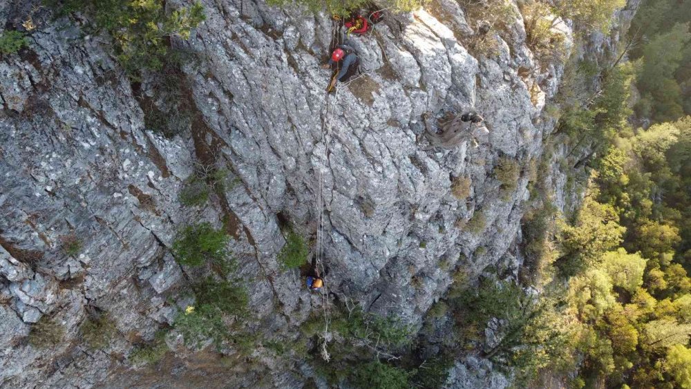 Mersin Valisi Su'dan kayıp Müslüme açıklaması: Arkadaşlarımız her detayı inceliyor