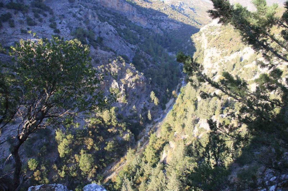 Mersin Valisi Su'dan kayıp Müslüme açıklaması: Arkadaşlarımız her detayı inceliyor