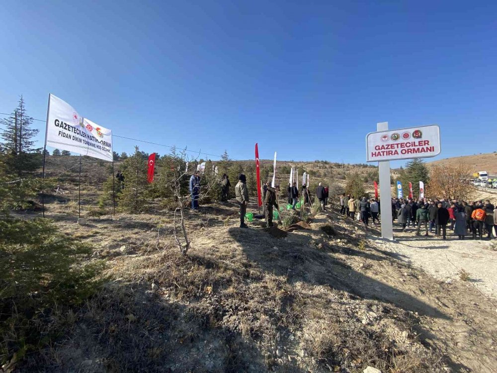 Konya Gazeteciler Hatıra Ormanı’nda 5 bin fidan toprakla buluştu!