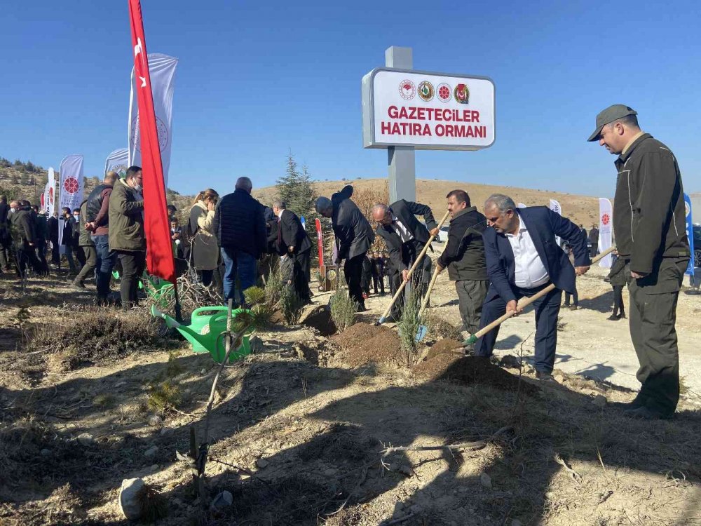 Konya Gazeteciler Hatıra Ormanı’nda 5 bin fidan toprakla buluştu!
