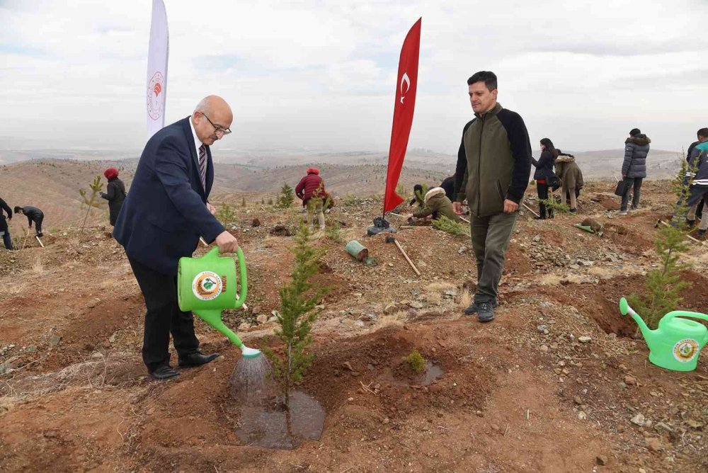 Konya daha yeşil olacak! Öğretmenler hatıra ormanına fidanlar dikildi