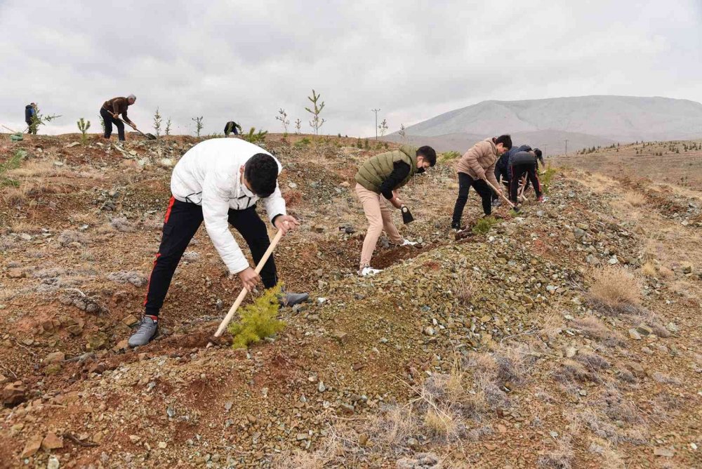 Konya daha yeşil olacak! Öğretmenler hatıra ormanına fidanlar dikildi
