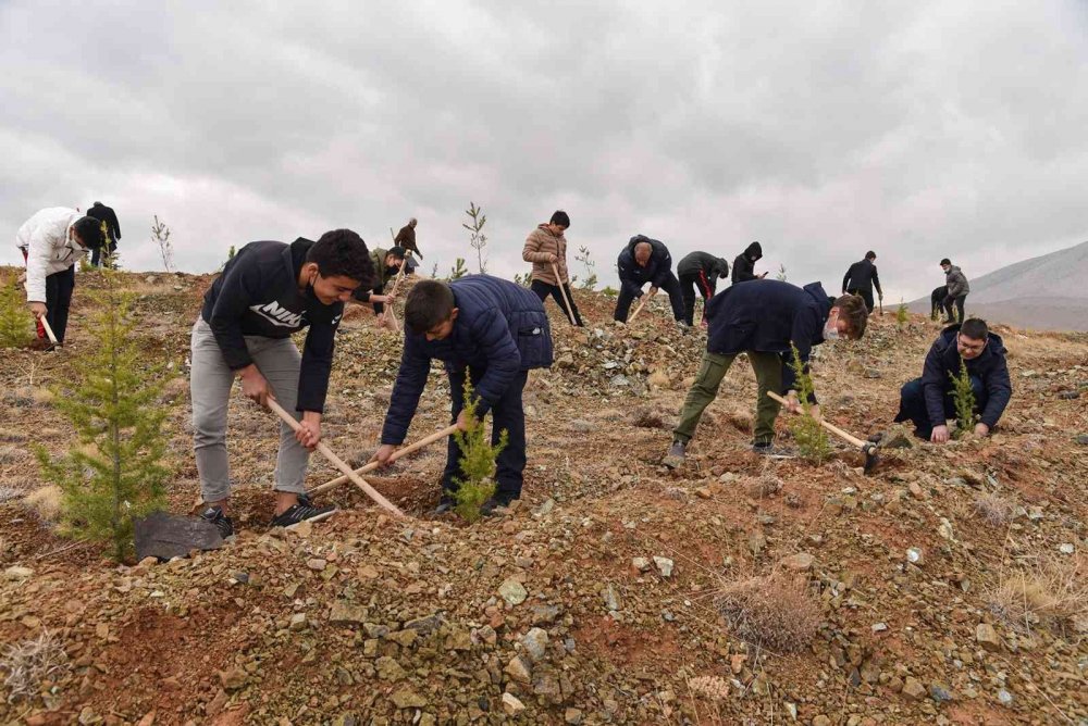 Konya daha yeşil olacak! Öğretmenler hatıra ormanına fidanlar dikildi