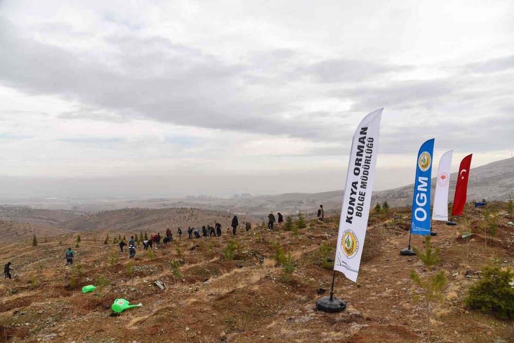 Konya daha yeşil olacak! Öğretmenler hatıra ormanına fidanlar dikildi