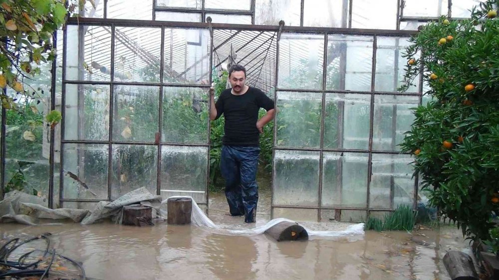 Aksu ve Serik'te yağmur ve fırtına seraları vurdu! Ahırları su bastı