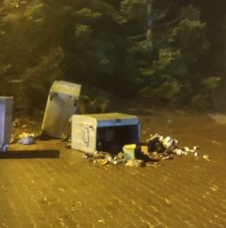 Dağda aç kalan anne ve iki yavru ayı çöpü devirip karnını doyurdu