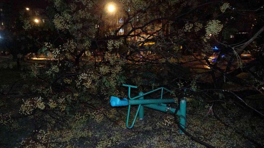 Antalya’da hortum! Ağaçlar kökünden söküldü ortalık savaş alanına döndü