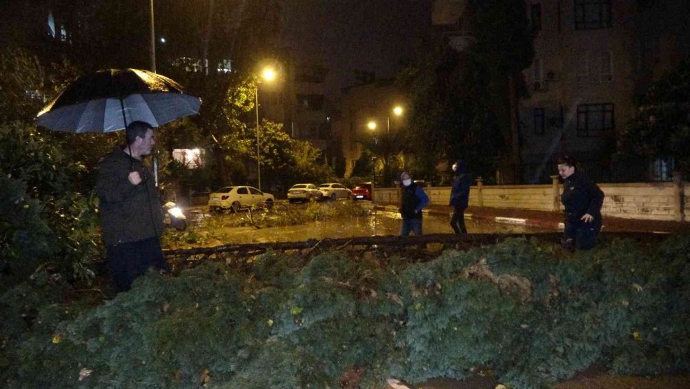 Antalya’da hortum! Ağaçlar kökünden söküldü ortalık savaş alanına döndü