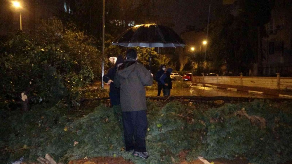Antalya’da hortum! Ağaçlar kökünden söküldü ortalık savaş alanına döndü