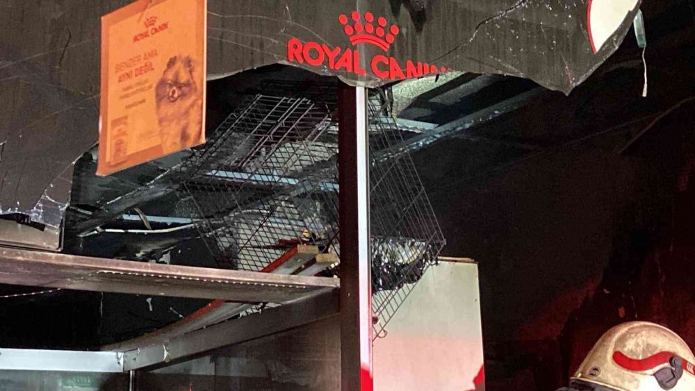 Pet shopta yangın! Çok sayıda hayvan öldü