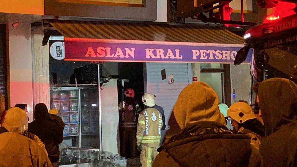 Pet shopta yangın! Çok sayıda hayvan öldü