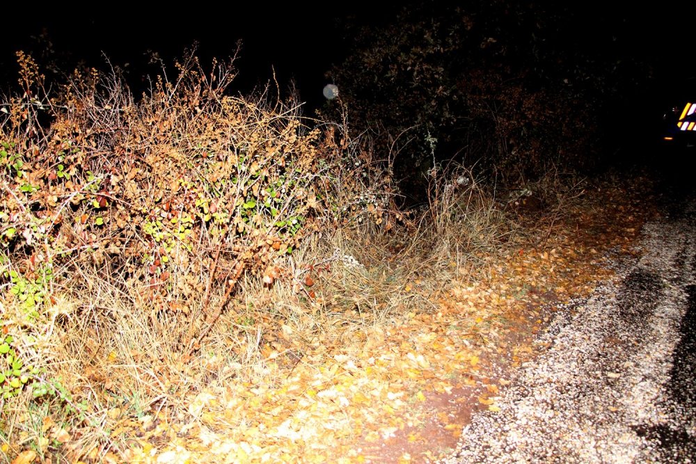 Traktör uçuruma yuvarlandı! Savrulan 72 yaşındaki Veli Topal feci şekilde can verdi