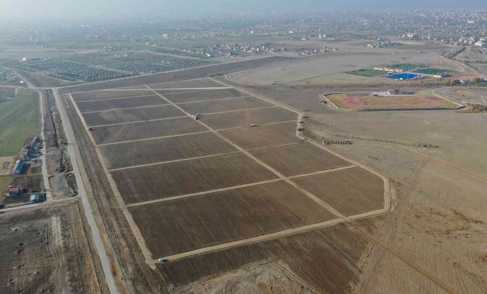 Karatay Lavanta Bahçesi 250 bin metrekare daha büyüyor! Ekim çalışmaları başladı