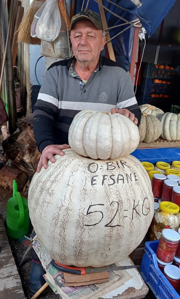 Hasköy Mahallesinde yetişen dev kabak görenleri hayrete düşürdü! Çekirdeklerini dağıtacak