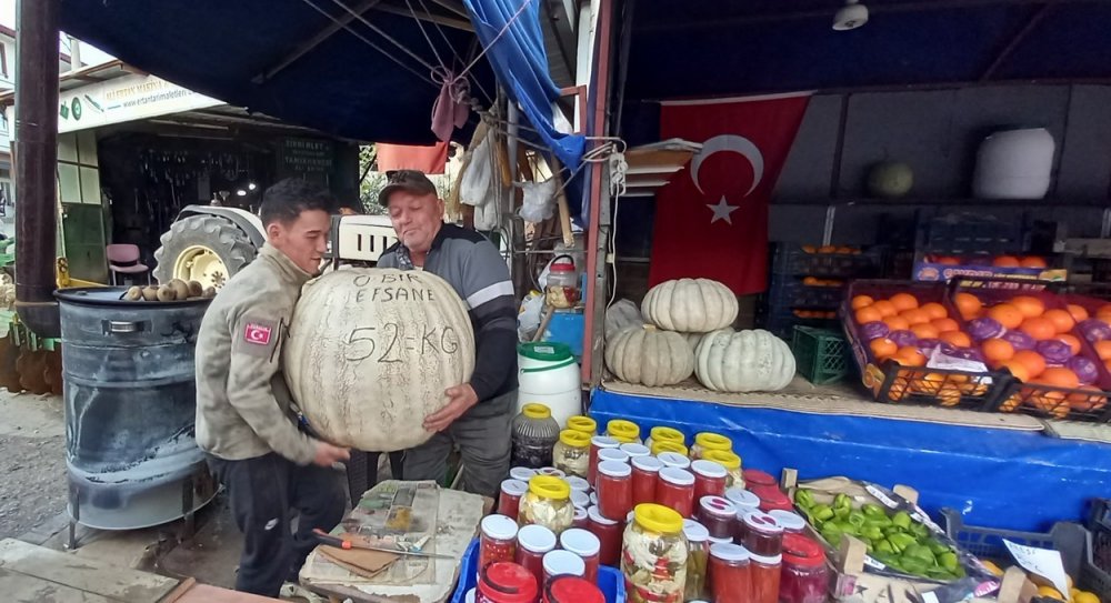 Hasköy Mahallesinde yetişen dev kabak görenleri hayrete düşürdü! Çekirdeklerini dağıtacak