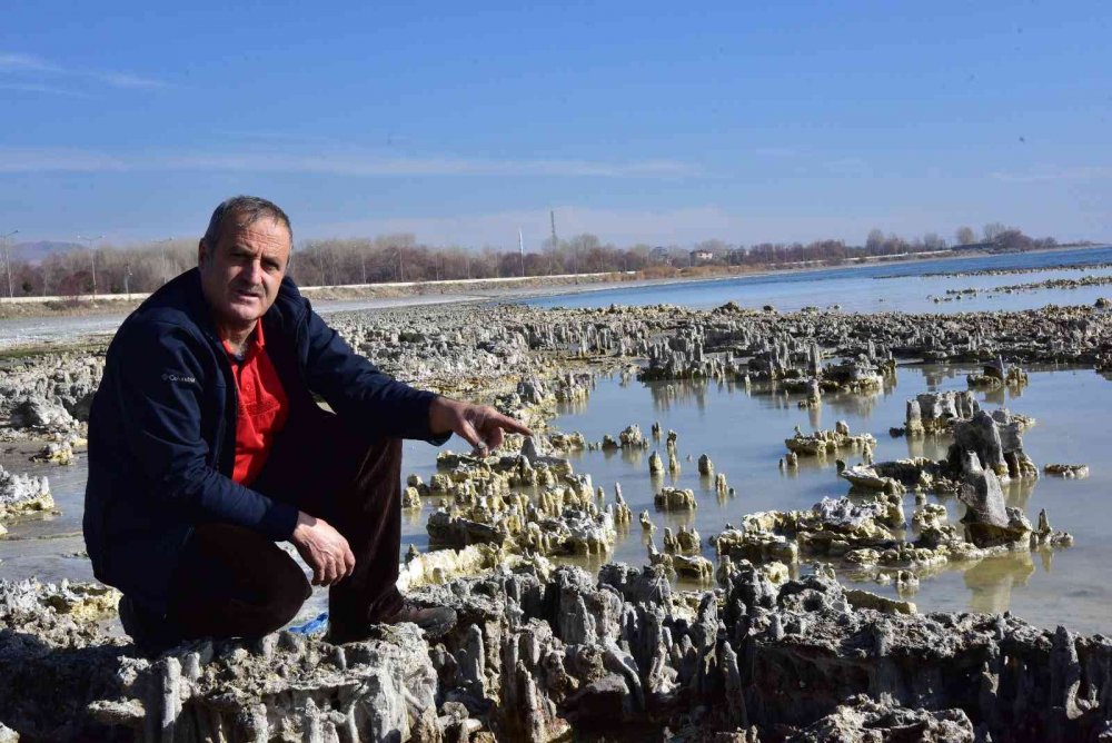 Van Gölü’nde yeni görüntü