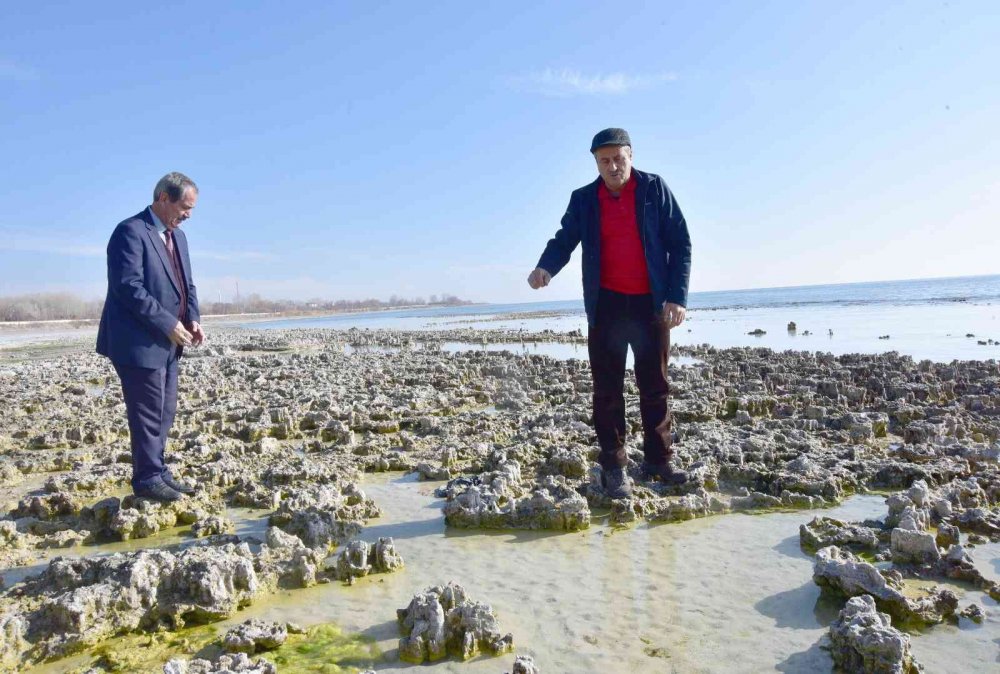 Van Gölü’nde yeni görüntü